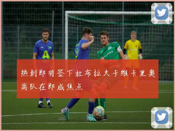 热刺即将签下杜布拉夫卡维卡里奥离队在即成焦点