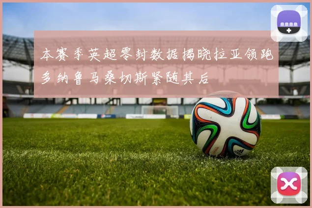 本赛季英超零封数据揭晓拉亚领跑多纳鲁马桑切斯紧随其后